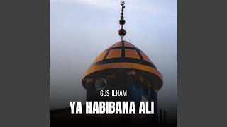 Download lagu Ya Habibana Ali mp3