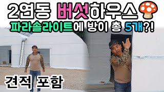 독립 공간 5개! 특이한 구조의 버섯하우스!_김중사부대#비닐하우스 #버섯 하우스 #그린첨단과학온실