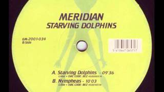 Meridian - Starving Dolphins