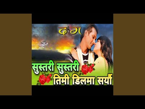 Sustari Sustari Timi Dilma