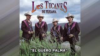 LOS TUCANES DE TIJUAN  EL GÜERO PALMA