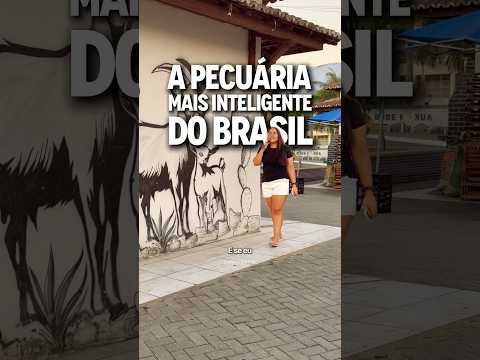 A PECUÁRIA BODÍSTICA