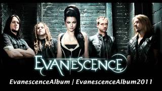 05 The Other Side - Evanescence 2011 Album HD
