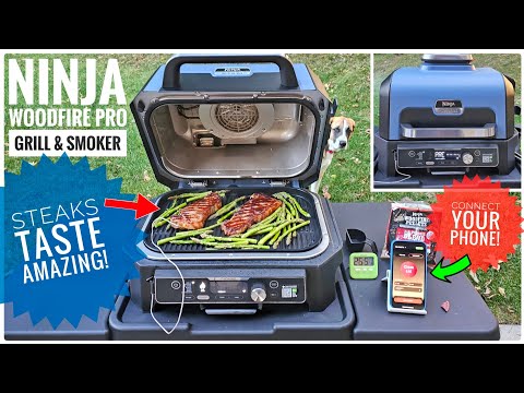 Ninja Woodfire Pro Connect XL Outdoor Grill & Smoker Review 🔍 | Steaks Taste Amazing!