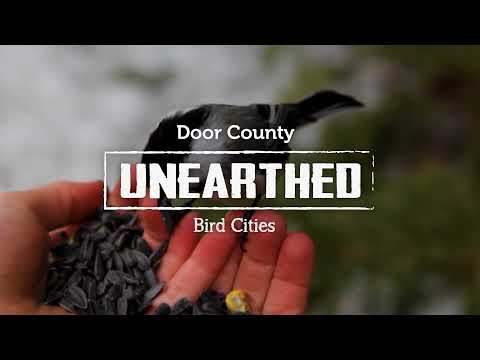 Bird City Wisconsin