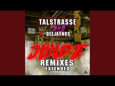 Junge (D-Tune X H.U.P.D. Remix)