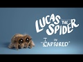 Lucas the Spider - Captured