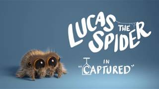 Lucas the Spider - Captured