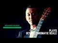 【たった1分で出来る基礎練習】クラシックギター　音階練習 Octave Chromatic Scale オクターヴ　半音階練習