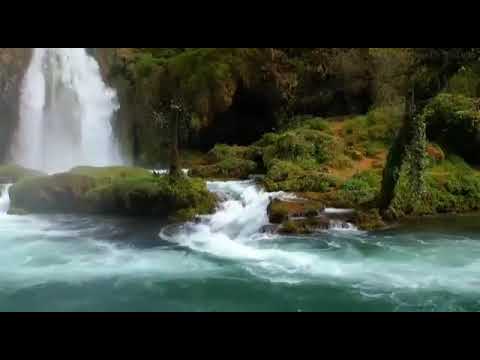 O SEGREDO PARA SE VIVER BEM | @JuarezCVital