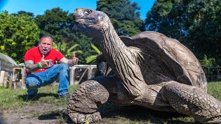 565 POUND TORTOISE THE SIZE OF A CAR!! 105 YEARS OLD!! | BRIAN BARCZYK by Brian Barczyk