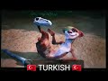 ICE AGE 3 DAWN OF THE DINOSAURS Buck Playing With Skulls Scene In 27 Languages