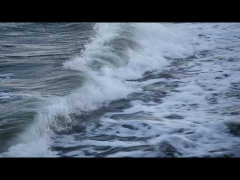 video-show