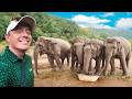 I Tried Thailand S Most Ethical Elephant Sanctuary Honest Review