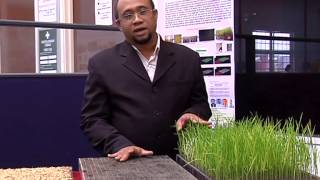 R&D Products- Single Seedling Nursery Tray for SRI (UPM): Penyelidik- Dr. Aimrun Wayayok (UPM)