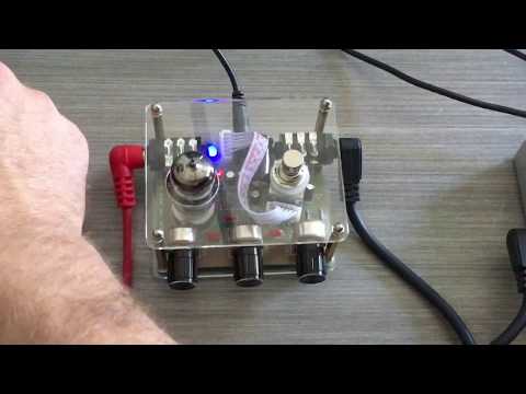 The Little Bear Fuzz - A TPG Funky Find! ThePedalGuy