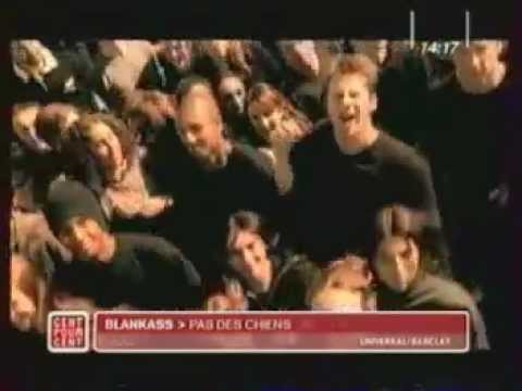 Pas des chiens - Blankass