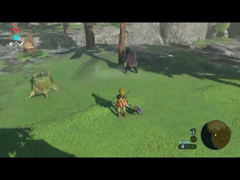 Chopping Old Man's Tree | Botw