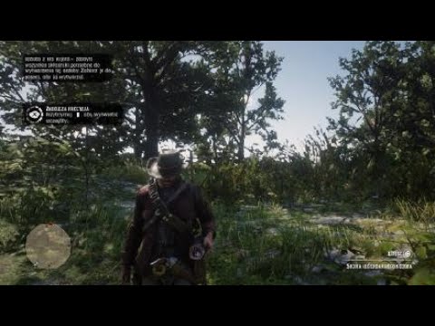 Miejsce legendarnego kojota w Red Dead Redemption 2