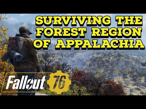 Waste Lord's Survival Guide: The Forest Region of Appalachia.