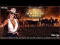 MUSICA CAIPIRA MODA DE VIOLA SERTANEJO RAIZ COISAS DA ROÇA