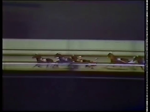 1979 Meadowlands - Niatross & Clint Galbraith -