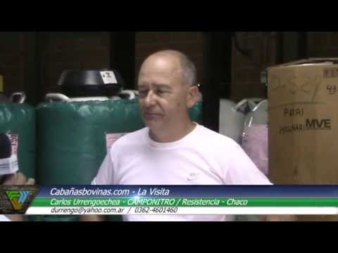 Cabañasbovinas.com - Carlos Urrengoechea - CAMPONITRO