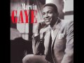 Marvin Gaye   I Worry About You