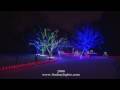 2008 Lindsay Lights HD Full Show Fixed Camera Angle