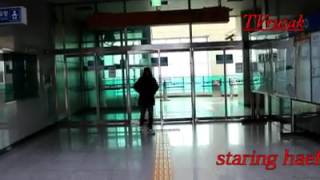 Download lagu Minah gadis dusun - safia putri melati ( haefryl cover klip ) mp3