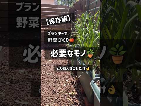 ベランダで芳香植物を育てるには？いつ植えるのか、そしてどのように管理するのか？  庭園