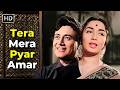 Tera Mera Pyar Amar Asli Naqli 1962 Dev Anand Sadhana Lata Mangeshkar Retro Romantic Song
