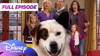 Download lagu Dog with a Blog First Full Episode 🐶 | S1 E1 | Stan of the House | Disney Channel mp3 Download lagu Dog with a Blog First Full Episode 🐶 | S1 E1 | Stan of the House | Disney Channel mp3