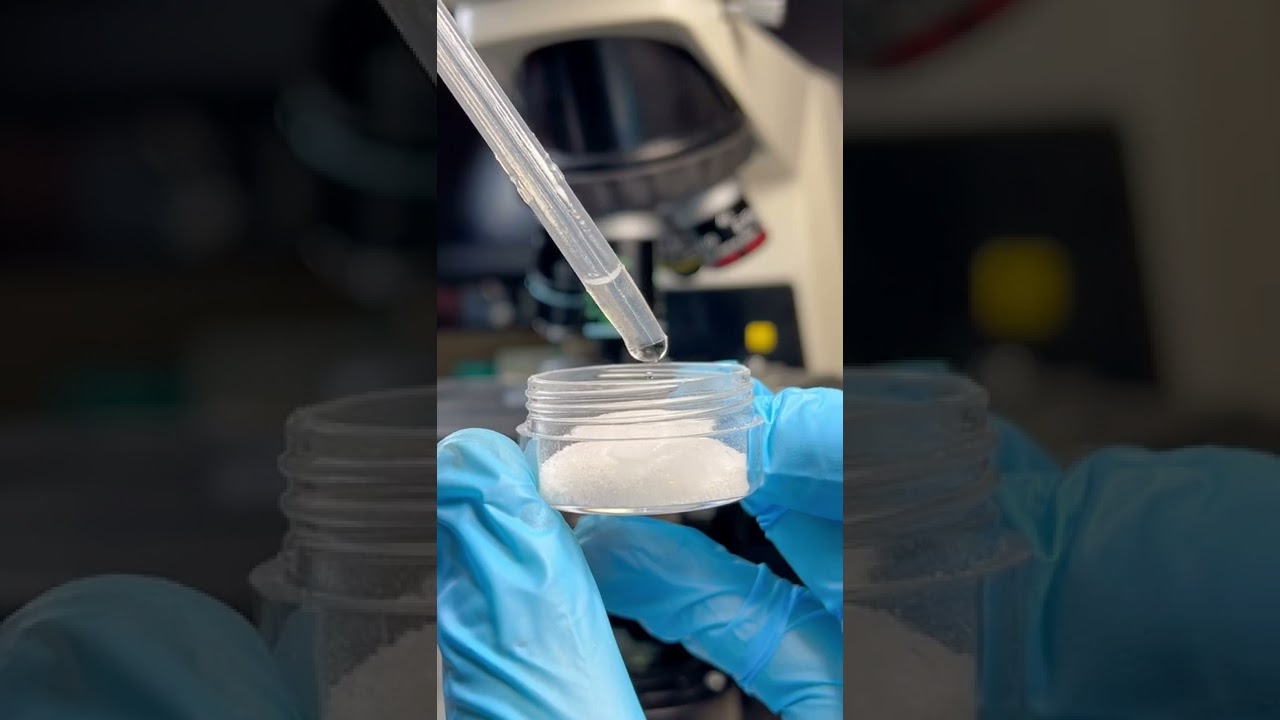 Does seawater have bacteria?