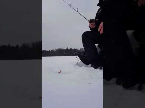 Kalastuskunn Handmade icefishing rod UL-EXF