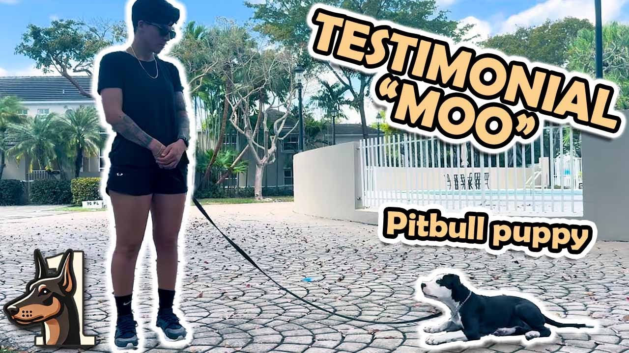 Testimonial Video Thumbnail