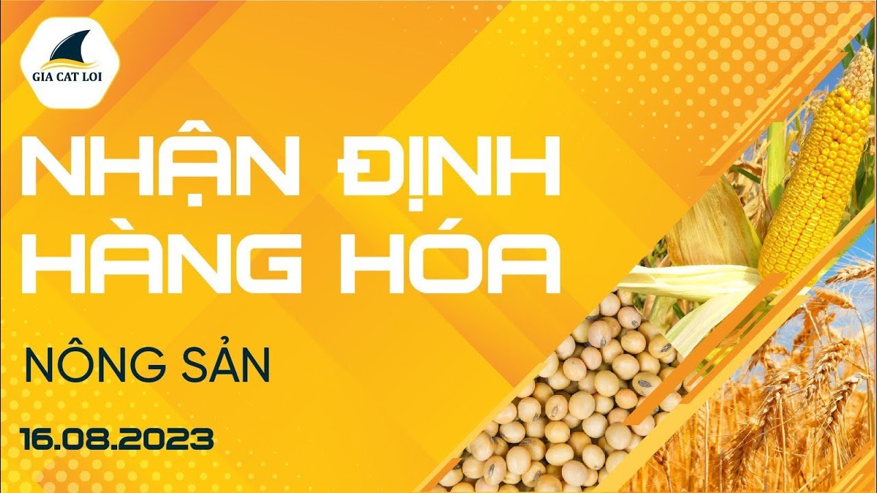 Nhận Định Hàng Hoá Nông Sản Ngày 16/08/2023