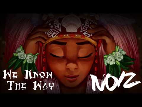 WE KNOW THE WAY (DJ NOIZ REMIX)