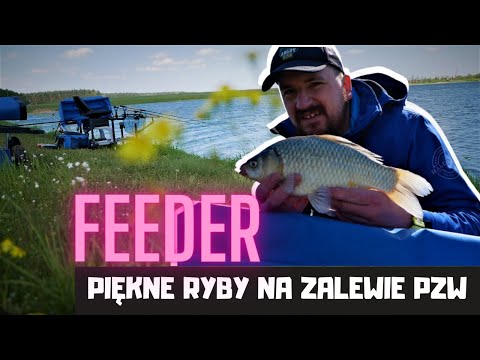 Piękne Ryby na zalewie PZW I feeder