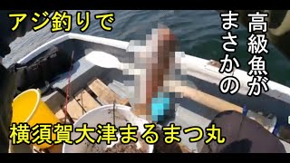 まるまつ丸