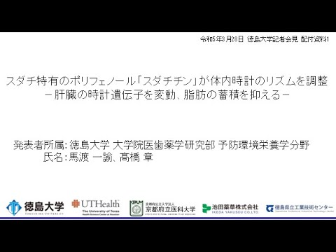 【徳島大学定例記者会見(令和5年3月28日)】スダチ特有のポリフェノール「スダチチン」が体内時計のリズムを調整―肝臓の時計遺伝子を変動、脂肪の蓄積を抑える―