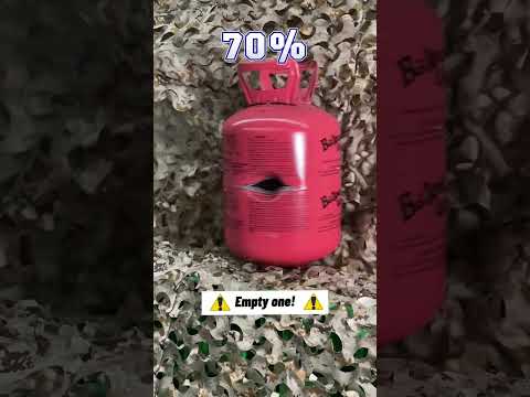 Walther Reign v Hatsan Air Max