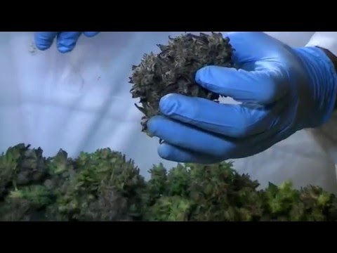 Part 2 - Head to Head Comparison of Twister T4 vs CenturionPro Mini