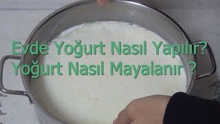 Yoğurt Nasıl yapılır? Evde yoğurt nasıl yapılır? Kolay Yoğurt tarifi