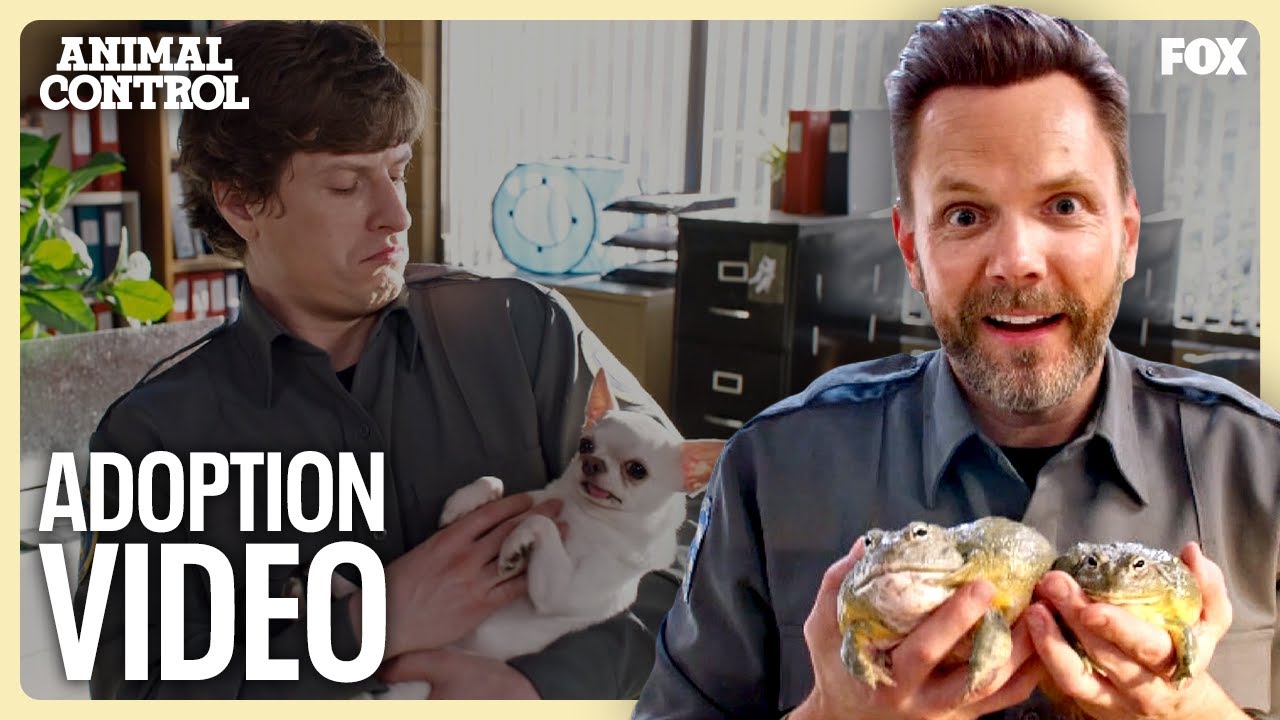 The Office Films an Animal Adoption Commercial | Animal Control