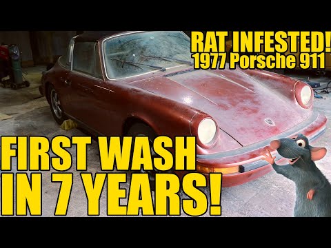 First Wash in 7 years! Barn Find Rat Infested Porsche 911