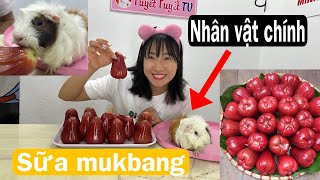 Mukbang Hoa Quả Tươi Ngon Cùng Bé Chuột Tên Sữa