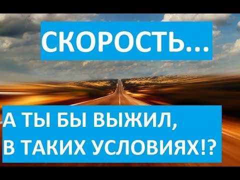 Юмористический фильм про куриц "Скорость"