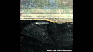 THE RURAL ALBERTA ADVANTAGE - Not Love or Death