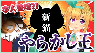 【暴露】ドン引き！新猫のやらかしがヤバすぎた！！